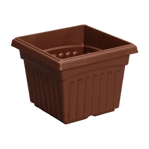 8″ Square Pot