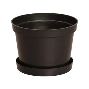 6″ Round w/ Removable Tray Base